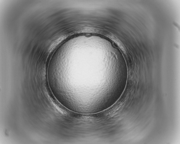 X0000093360437200710251134