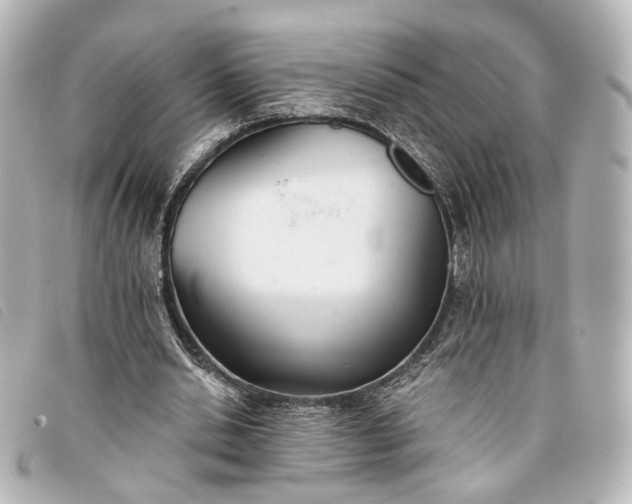 X0000093360438200710251134