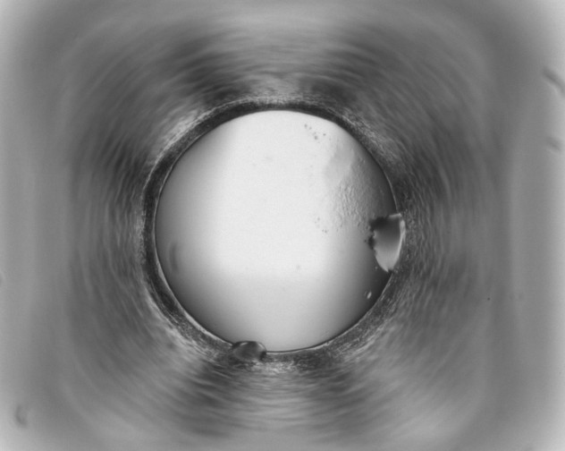 X0000093360440200710251135
