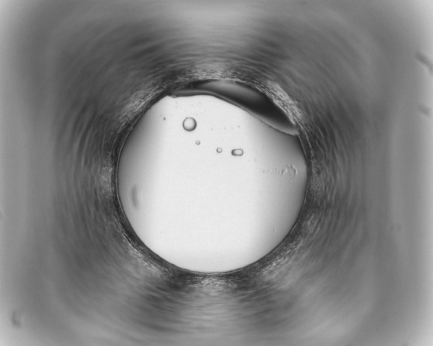 X0000093360441200710251135