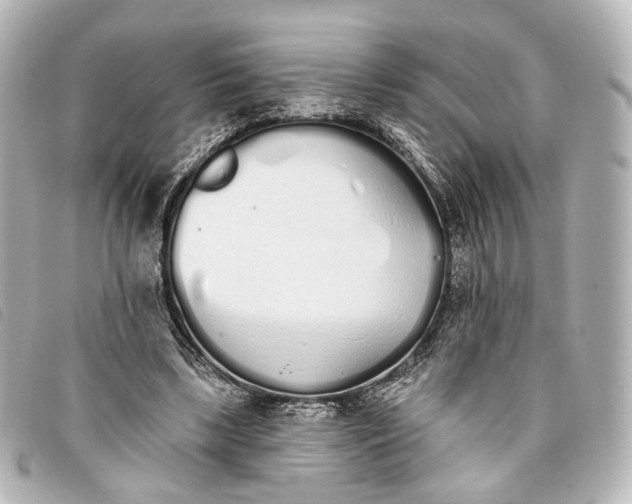 X0000093360443200710251135