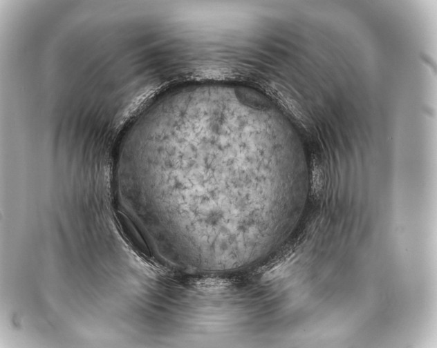 X0000093360444200710251135