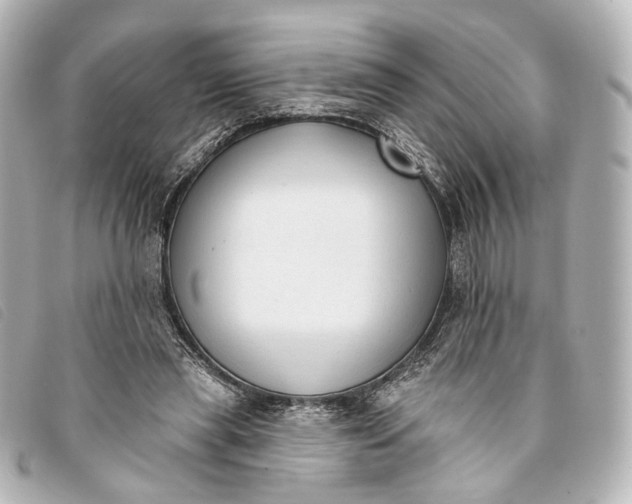 X0000093360445200710251135