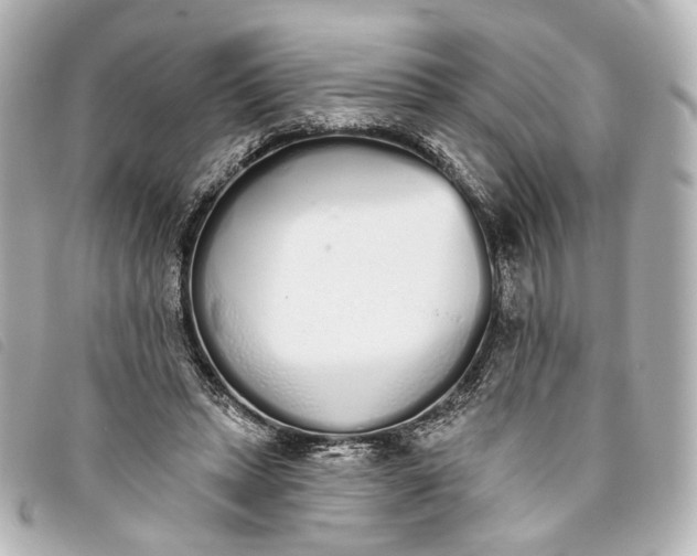 X0000093360447200710251135