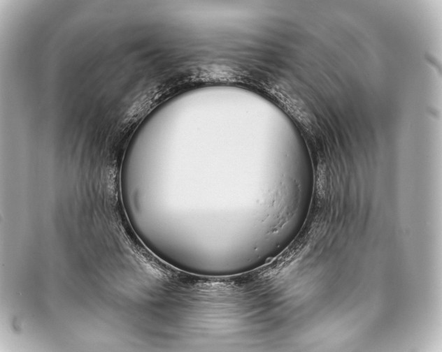 X0000093360449200710251135
