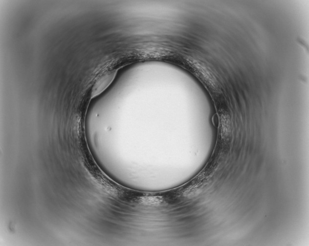 X0000093360451200710251135