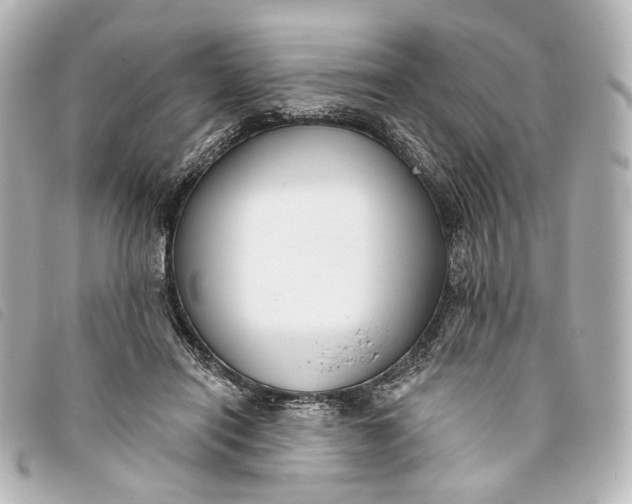 X0000093360454200710251135