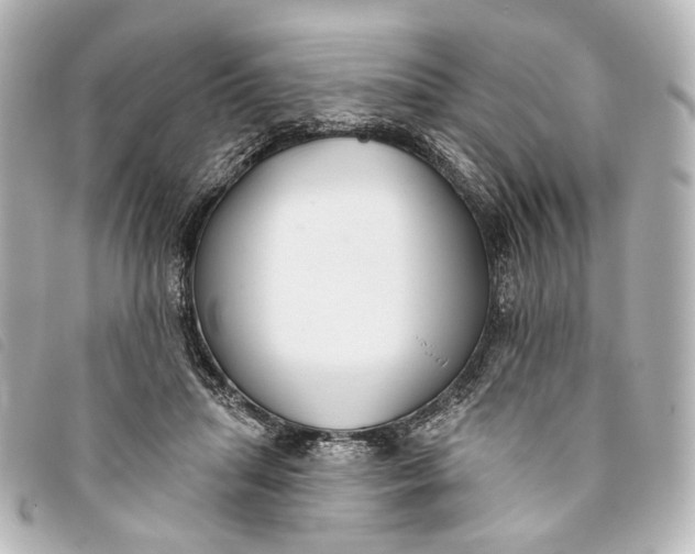X0000093360455200710251135
