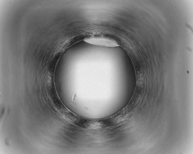 X0000093360456200710251135