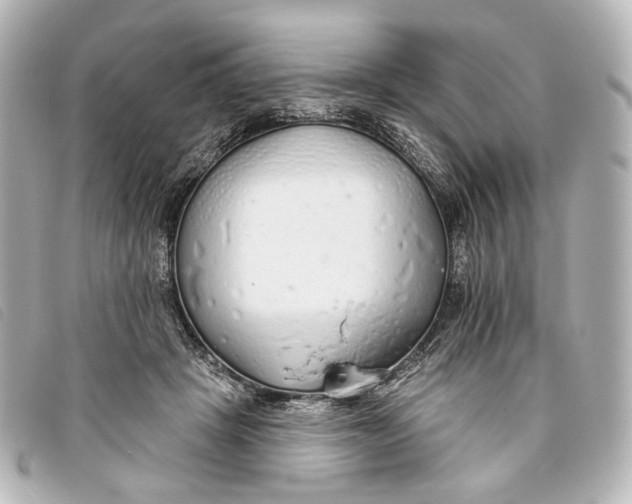 X0000093360457200710251135