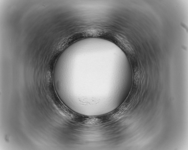 X0000093360459200710251135