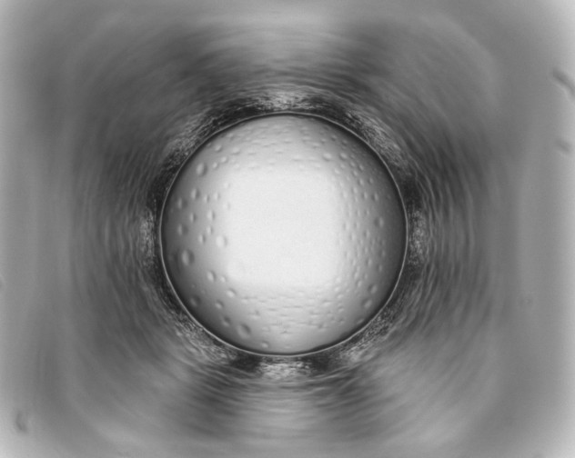 X0000093360461200710251135