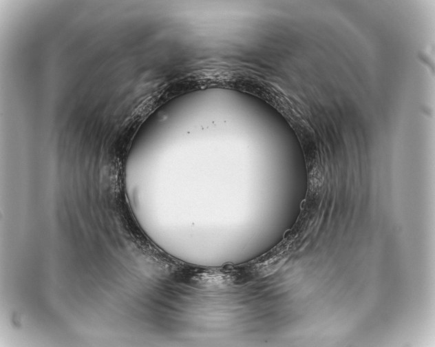 X0000093360464200710251135