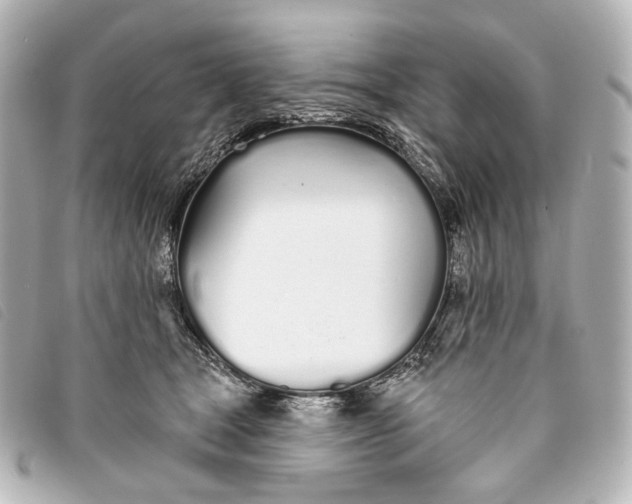 X0000093360465200710251135