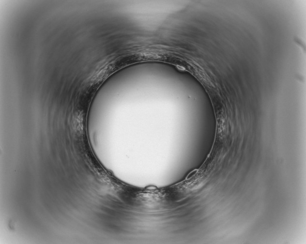 X0000093360466200710251135
