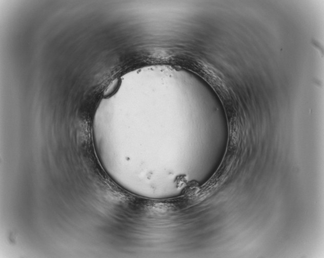 X0000093360467200710251135
