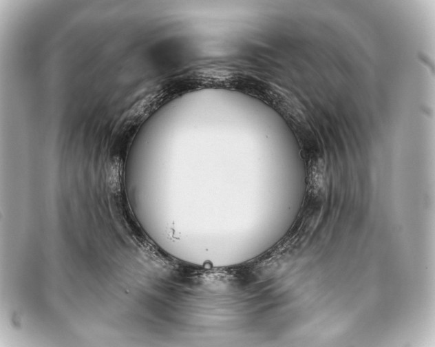X0000093360468200710251135