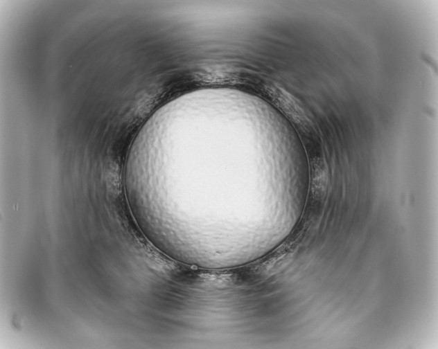 X0000093360469200710251135