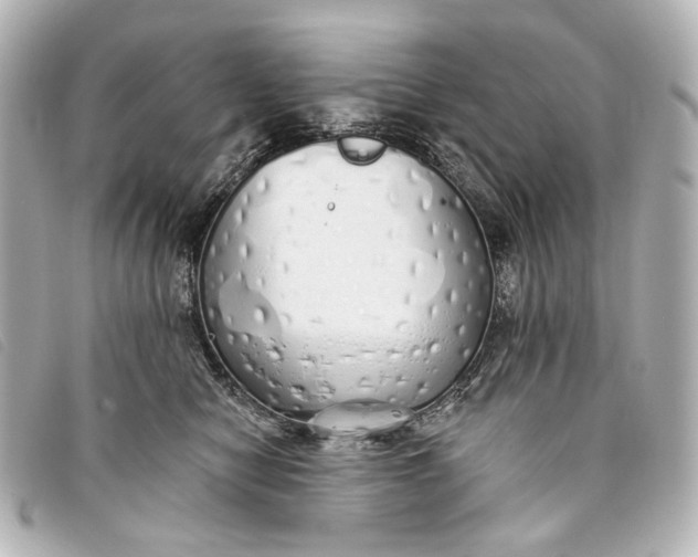 X0000093360470200710251135