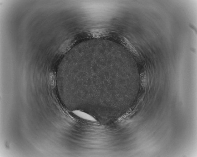 X0000093360471200710251135