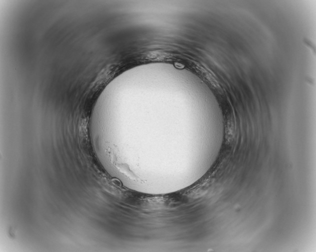 X0000093360473200710251135