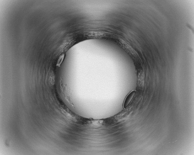 X0000093360474200710251135