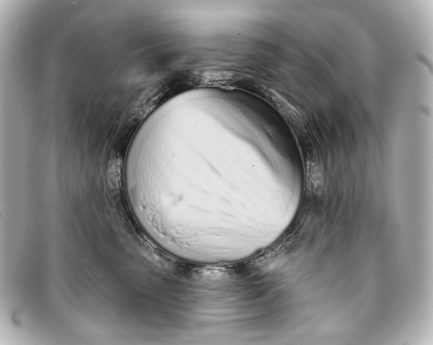 X0000093360475200710251135