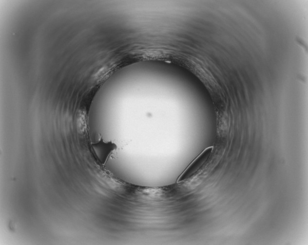 X0000093360478200710251135