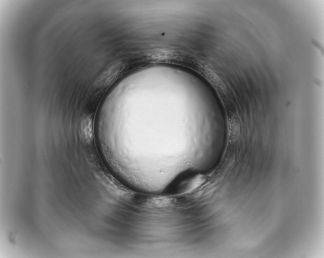 X0000093360479200710251135
