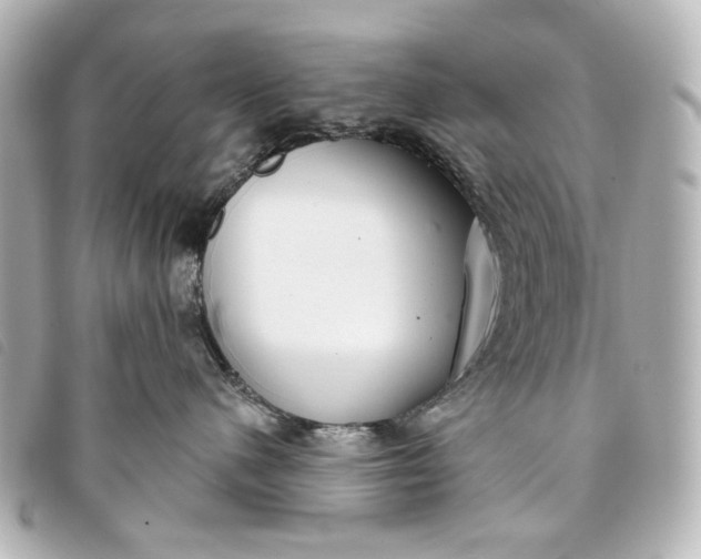 X0000093360480200710251135