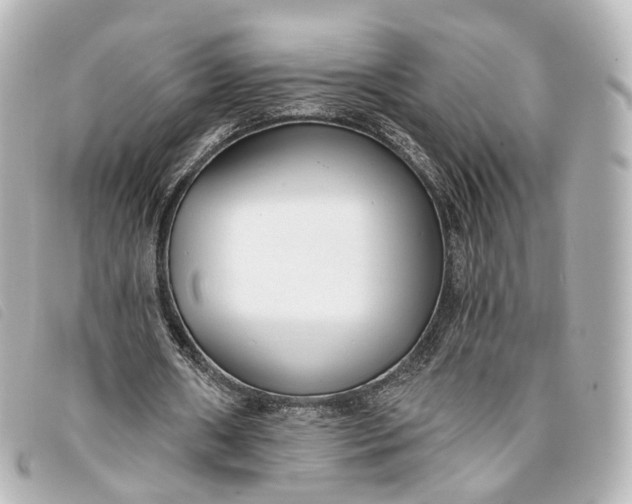 X0000093360482200710251134