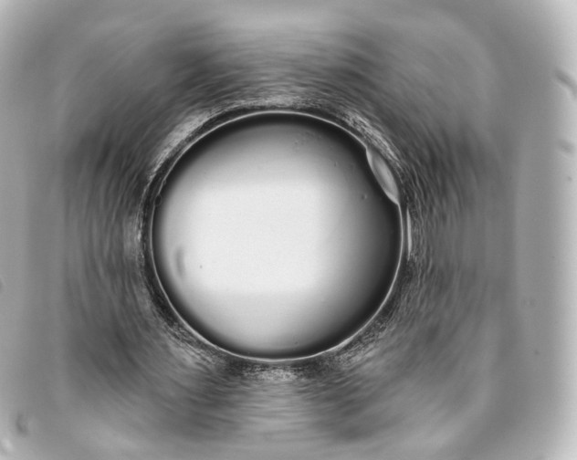 X0000093360483200710251134