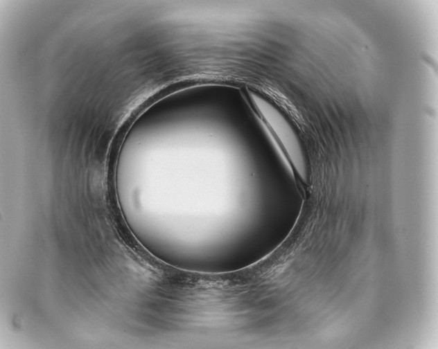 X0000093360484200710251134