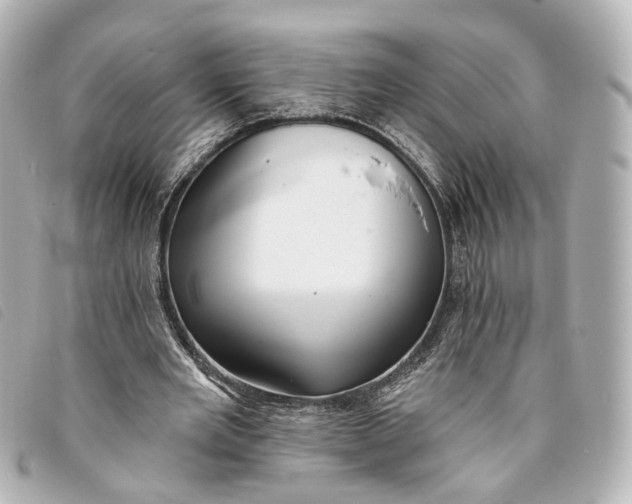 X0000093360485200710251134