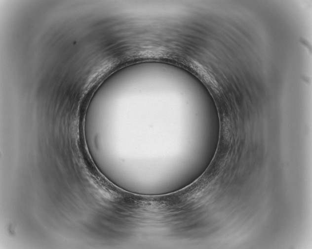 X0000093360486200710251134