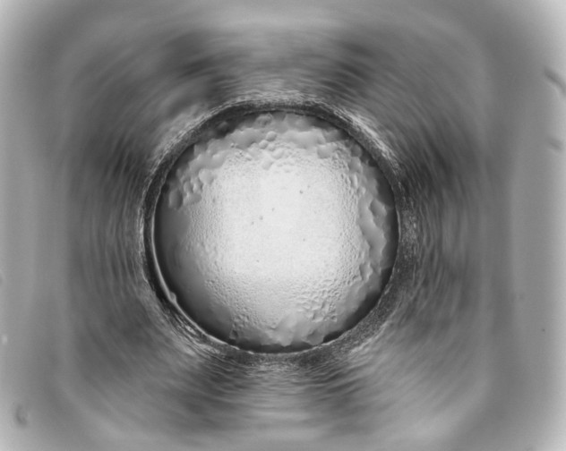 X0000093360487200710251134