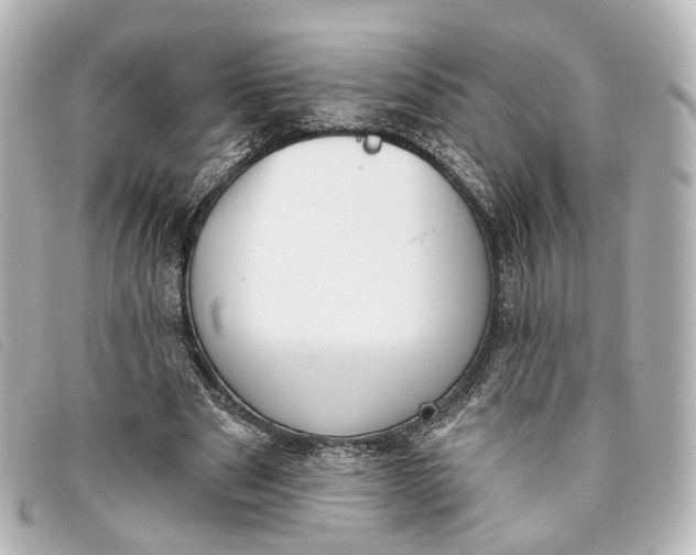 X0000093360489200710251134