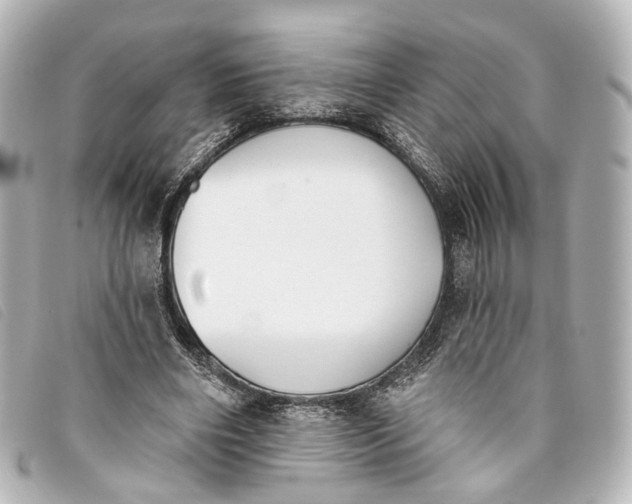 X0000093360490200710251134