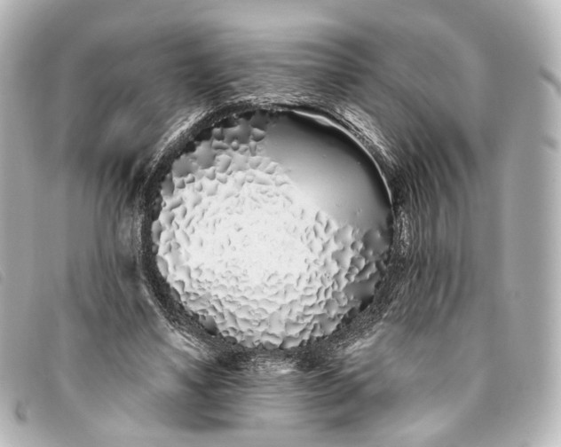 X0000093360491200710251134