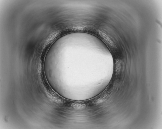 X0000093360494200710251134