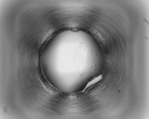 X0000093360496200710251134