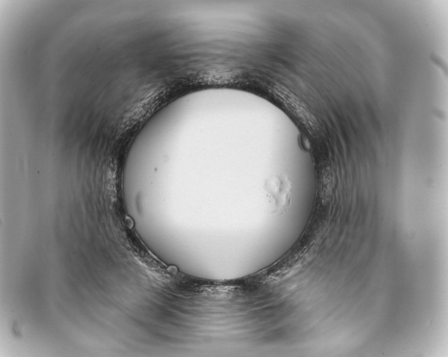 X0000093360497200710251134