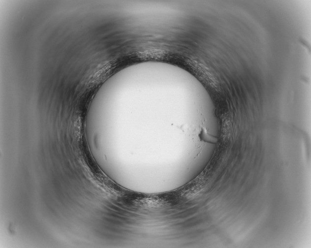 X0000093360498200710251134
