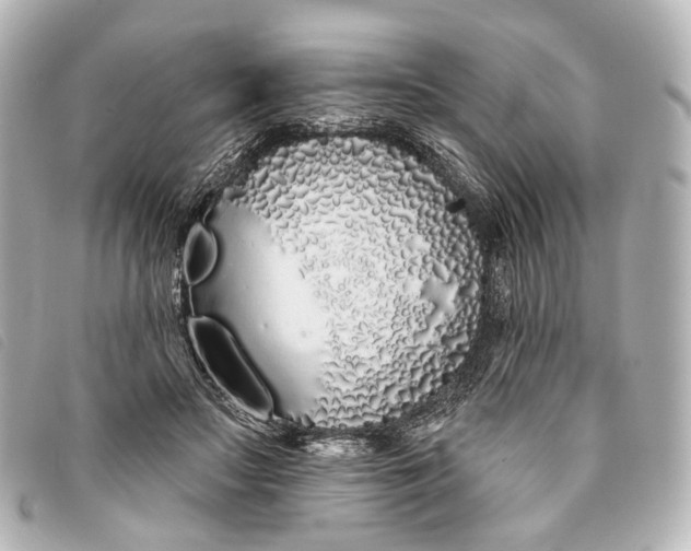 X0000093360499200710251134