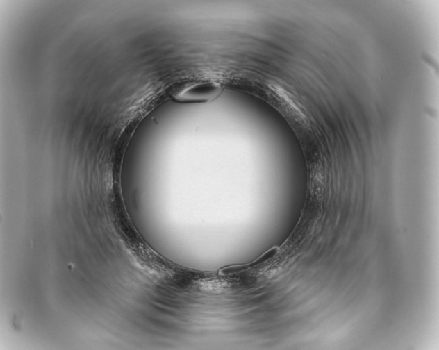 X0000093360500200710251134
