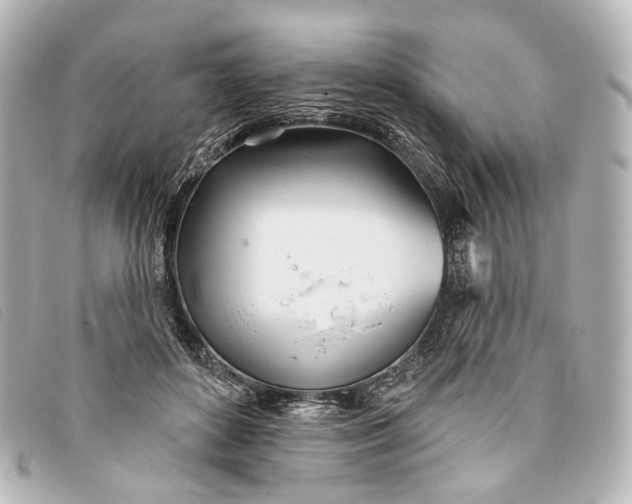 X0000093360504200710251134