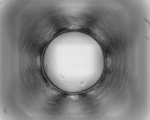 X0000093360506200710251134