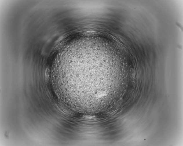 X0000093360507200710251134