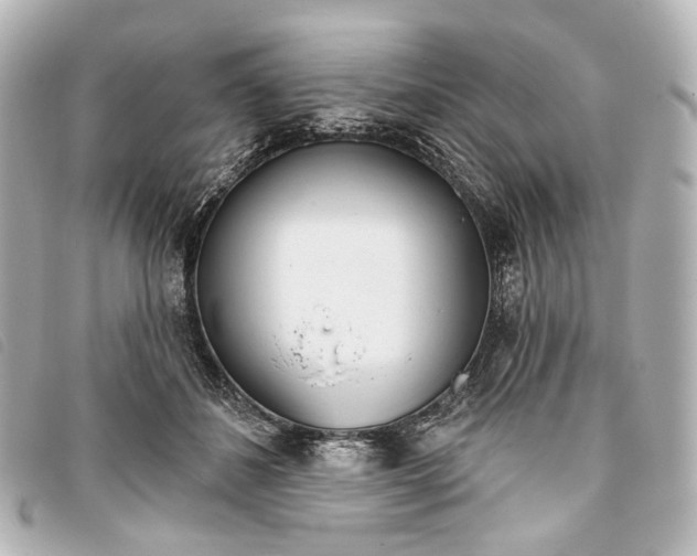 X0000093360508200710251134