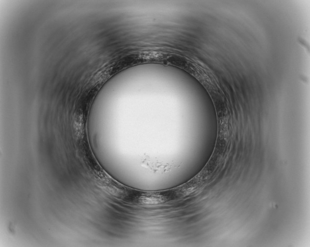 X0000093360510200710251134